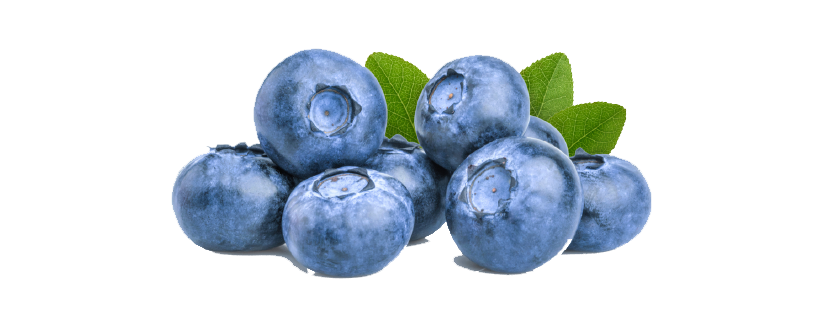 240612-WEBSITE-SOURSOP-46.png